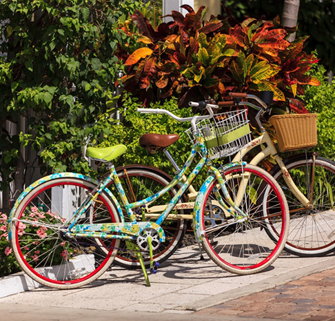 Two bicycles parked in the sun.