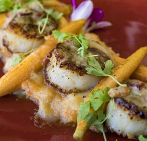 Catered Scallop Entrée