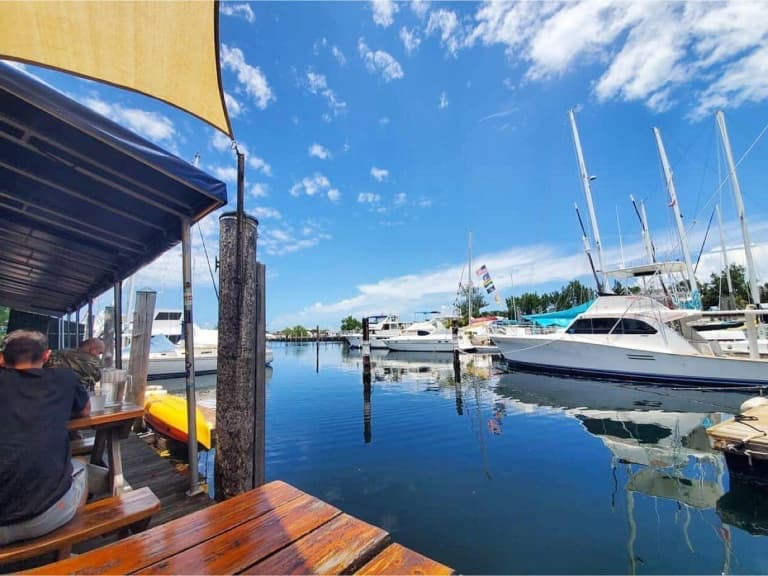 boats in the harbor
