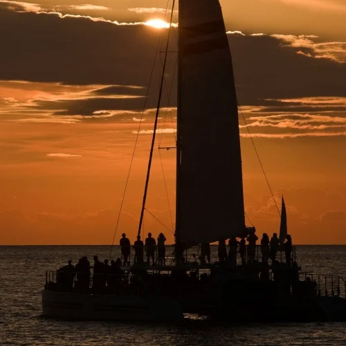 Sailboat during sunset. 