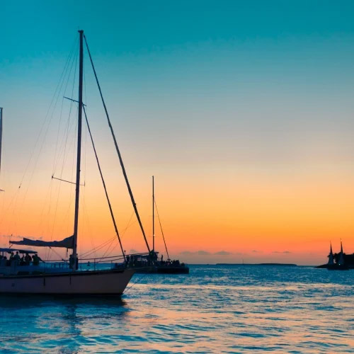 Sailboats during sunset. 