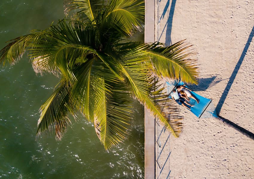 A couple on a hammock
